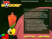 Pet Soccer screenshot, image №365885 - RAWG