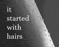 It Started With Hairs screenshot, image №3609116 - RAWG