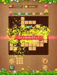 Block Puzzle: Wood Winner screenshot, image №2903555 - RAWG