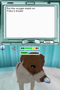 Pet Pals: A New Leash on Life screenshot, image №790164 - RAWG