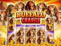 Buffalo Bonus Casino screenshot, image №890221 - RAWG