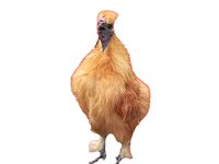 Look At All Those Chickens! screenshot, image №2128946 - RAWG