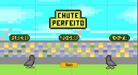 Chute Perfeito screenshot, image №3684520 - RAWG