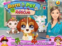 New Born Pet Rescue screenshot, image №1757263 - RAWG