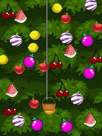 Fruit Scoop Berry Farm Master! screenshot, image №1742156 - RAWG