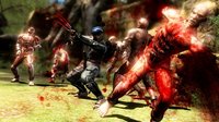 Ninja Gaiden 3 screenshot, image №564214 - RAWG