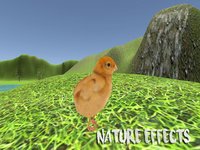 Chick Simulator screenshot, image №1705475 - RAWG