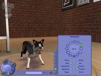 The Sims 2: Pets screenshot, image №457881 - RAWG