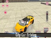 Fast Car Test Skill screenshot, image №1667744 - RAWG