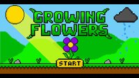 Growing Flowers screenshot, image №2827969 - RAWG
