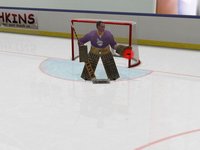 Virtual Goaltender screenshot, image №2067447 - RAWG