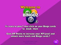 Kidz Bingoz screenshot, image №953372 - RAWG
