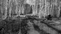 Russian Psychiatric Pastoral: Prologue screenshot, image №4212154 - RAWG
