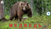 Учись Читать (полная версия) screenshot, image №1558882 - RAWG