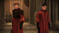 Harry Potter and the Half-Blood Prince screenshot, image №494825 - RAWG