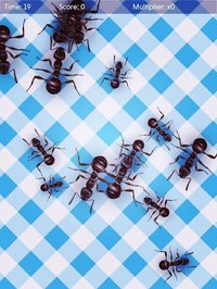 No More Ants (free) - squash screenshot, image №1546814 - RAWG