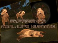 Wild Bear Hunter 2016: Jungle Beast Hunting Simulation 3d: full fun free game screenshot, image №1615632 - RAWG