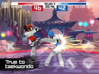 Taekwondo Game Global Tournament screenshot, image №815492 - RAWG