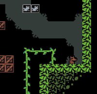 Crossybara: Nonogram Slam! screenshot, image №3186694 - RAWG