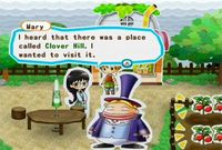 Harvest Moon: My Little Shop screenshot, image №246833 - RAWG