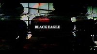 BLACK EAGLE screenshot, image №1318193 - RAWG