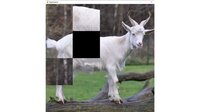 hgmGame-sheep screenshot, image №4196954 - RAWG