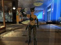 Catwoman screenshot, image №392805 - RAWG