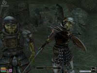 The Elder Scrolls 3: Bloodmoon screenshot, image №362002 - RAWG
