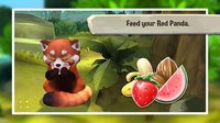 My Red Panda - Your lovely pet simulation screenshot, image №1520371 - RAWG