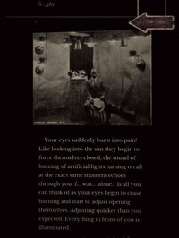 Seul.(Alone) The entrée - CYOA screenshot, image №2438307 - RAWG