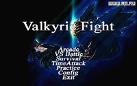 Valkyrie Fight screenshot, image №342373 - RAWG