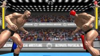 Ultimate Physical Wrestling screenshot, image №2985862 - RAWG