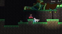 THE MYSTERY FOREST screenshot, image №3207587 - RAWG