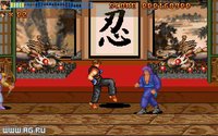 Action Fighter (1994) screenshot, image №334892 - RAWG