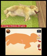 nintendogs + cats: Toy Poodle & New Friends screenshot, image №259732 - RAWG