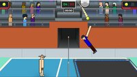 Wacky Volleyball screenshot, image №4135820 - RAWG