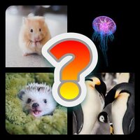 Guess the Animal (pipworld22) screenshot, image №3656003 - RAWG