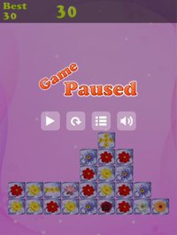 Icy Flower screenshot, image №1700506 - RAWG