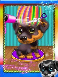 Animal Pet Dog Hair Salon - hair salon game for kid screenshot, image №890356 - RAWG