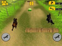 Crazy Horse Racing Champion screenshot, image №2185257 - RAWG