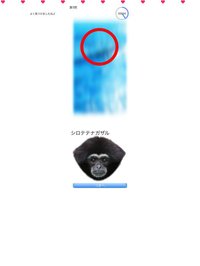Animal Faces L/R Touch screenshot, image №1812957 - RAWG