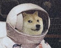 Doge to the Moon! screenshot, image №2763232 - RAWG
