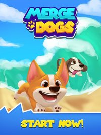 Merge Dogs - Idle Clicker screenshot, image №2165420 - RAWG