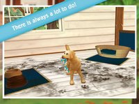 PetHotel - My animal pension screenshot, image №870159 - RAWG