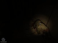 1953: KGB Unleashed screenshot, image №519430 - RAWG