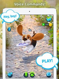 Tamadog screenshot, image №1715946 - RAWG