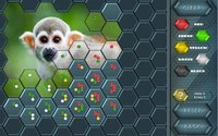 HexLogic - Zoo screenshot, image №1529536 - RAWG
