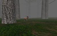 Trapped in the Forest screenshot, image №1527574 - RAWG