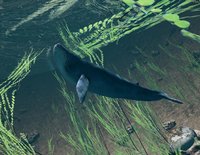 Inner Sea screenshot, image №1006281 - RAWG