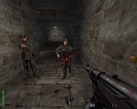 Return to Castle Wolfenstein screenshot, image №228776 - RAWG